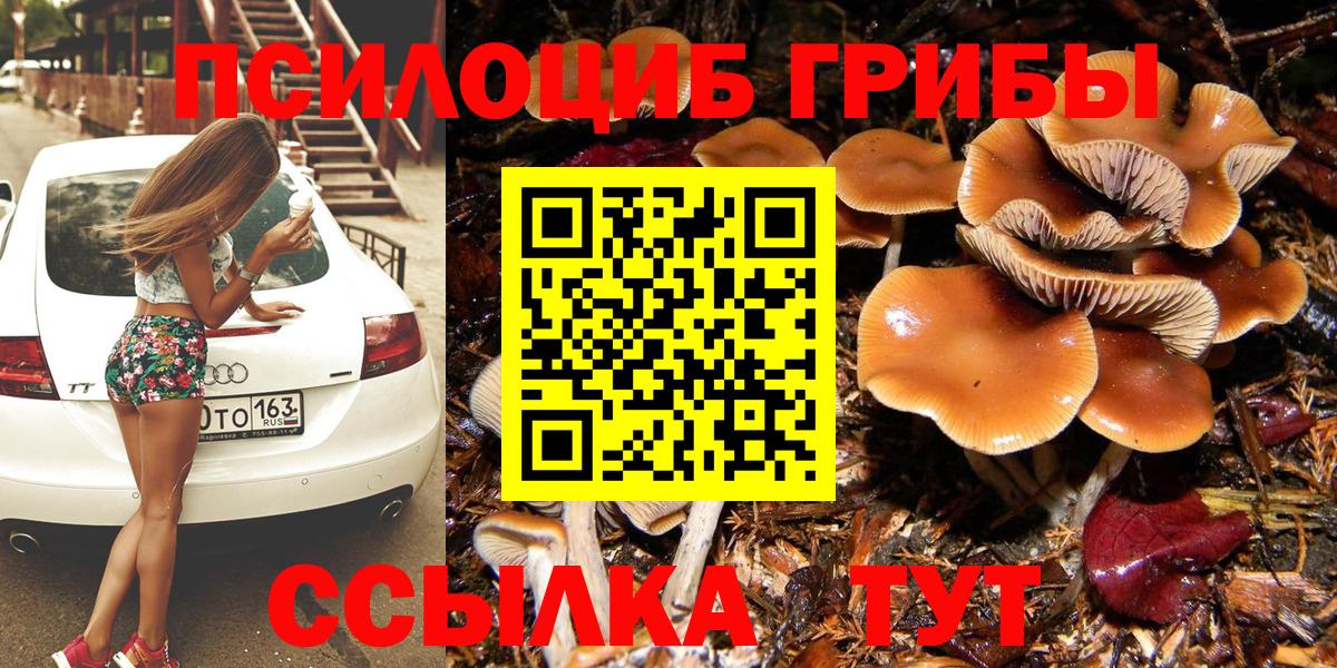 Галлюциногенные грибы мухоморы Междуреченск
